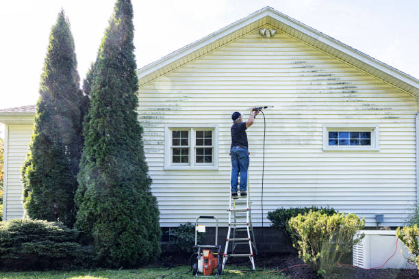 Animal Enclosure Cleaning in Foster City, CA